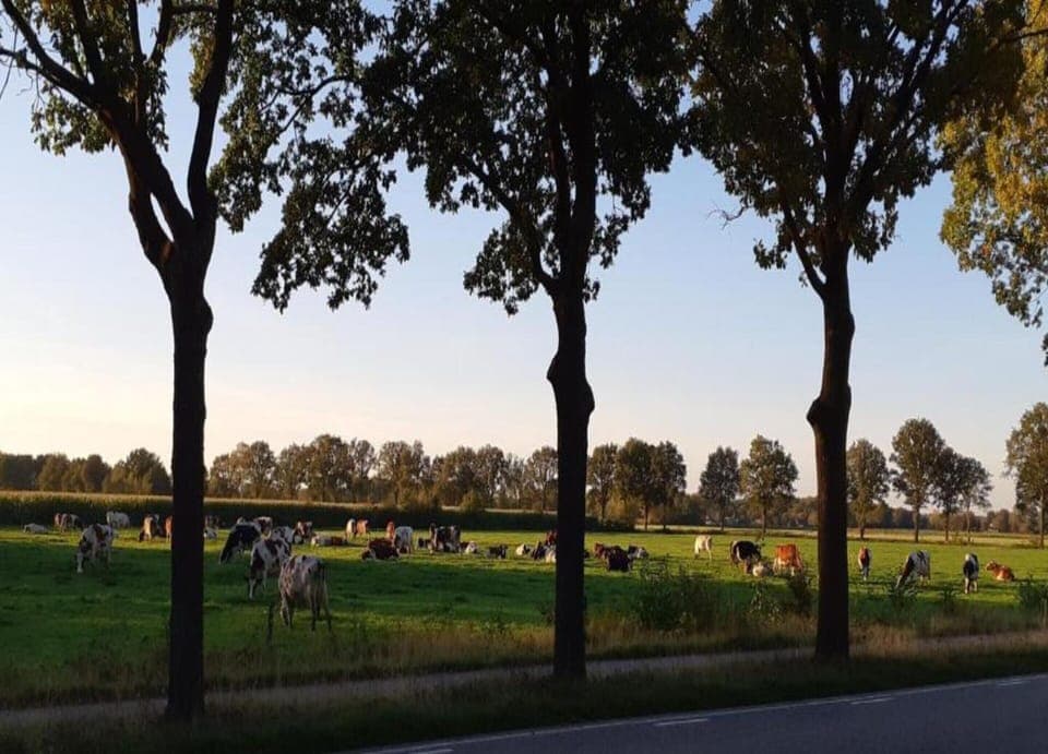 Chalet | View from property