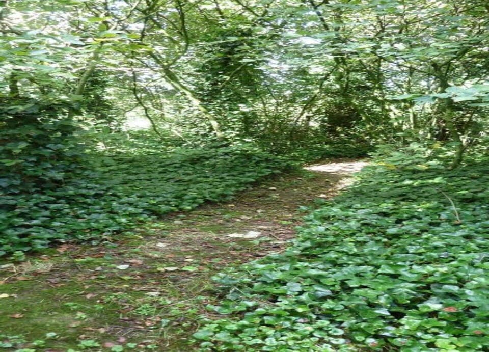 Chalet | View from property