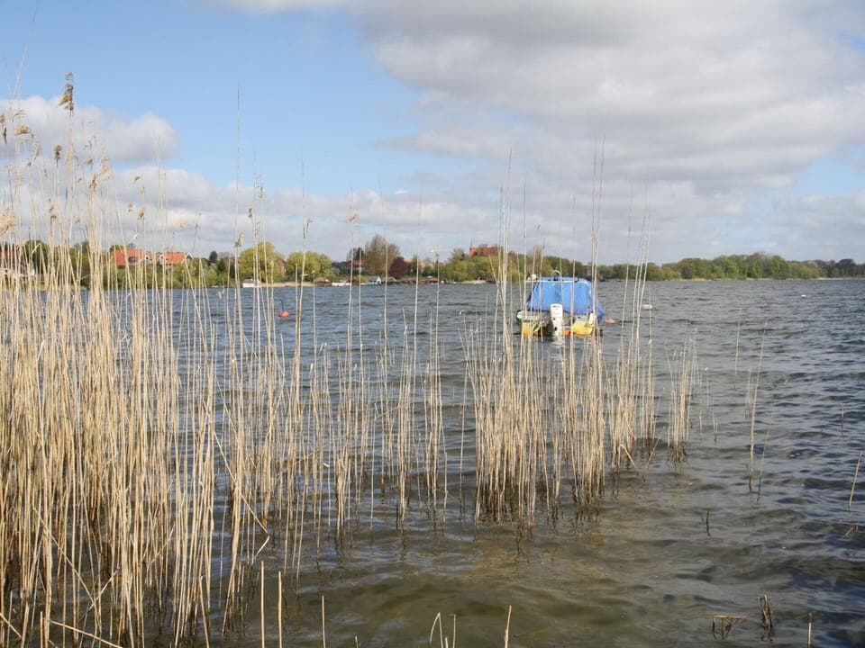 House | View from property