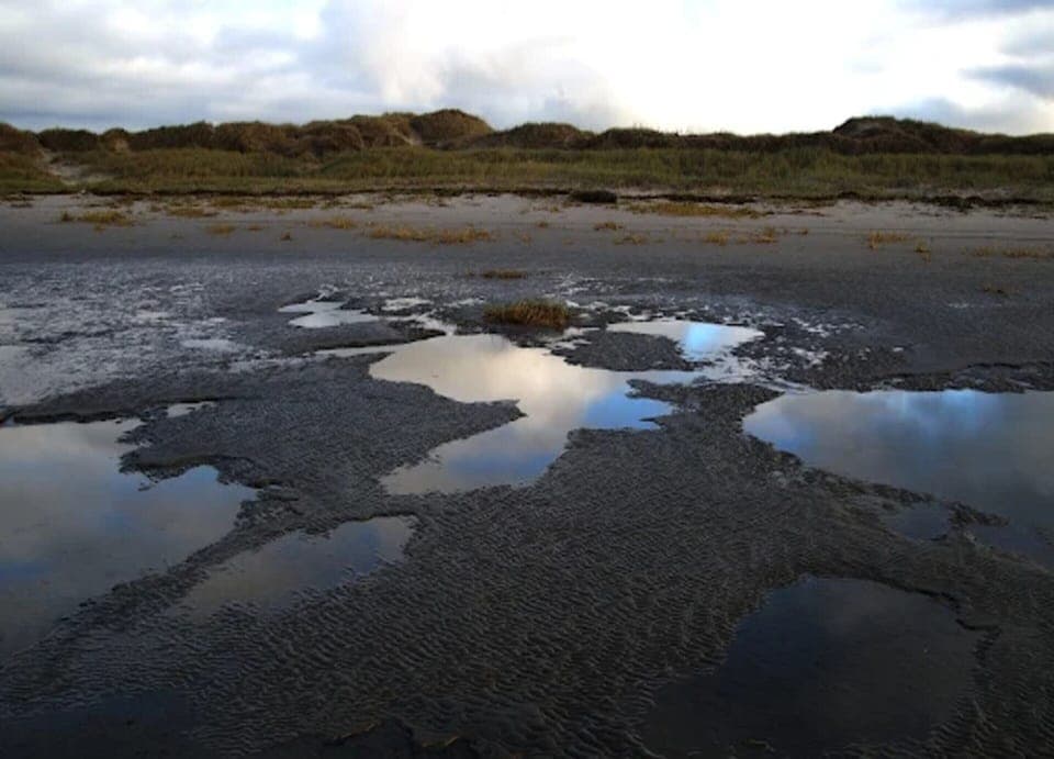 House | View from property