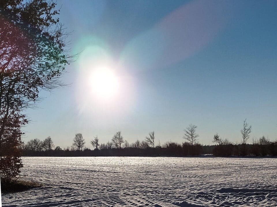 House | View from property