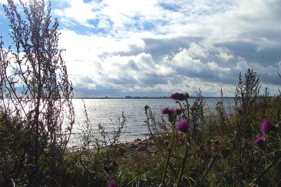 Apartment | Water view