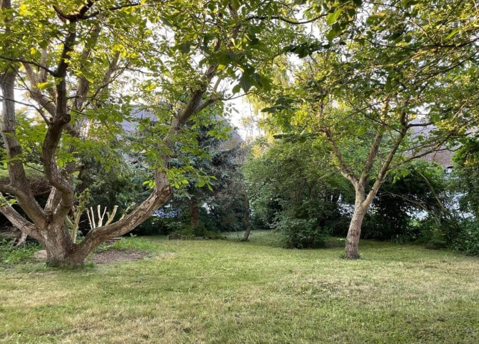 Apartment | View from property