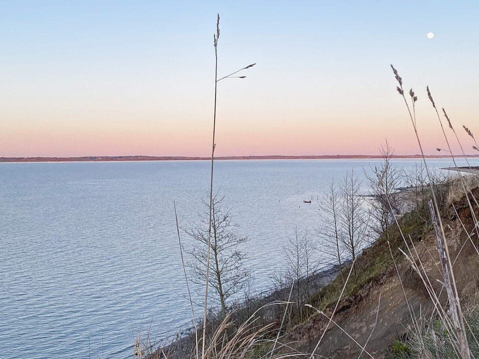 House | Miscellaneous