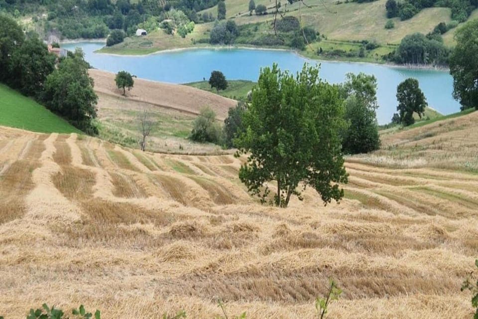 Region [summer] (>5 km)