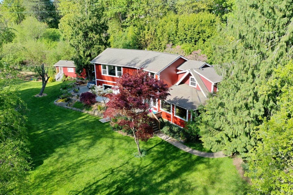 Front yard looking out at the creek and forest