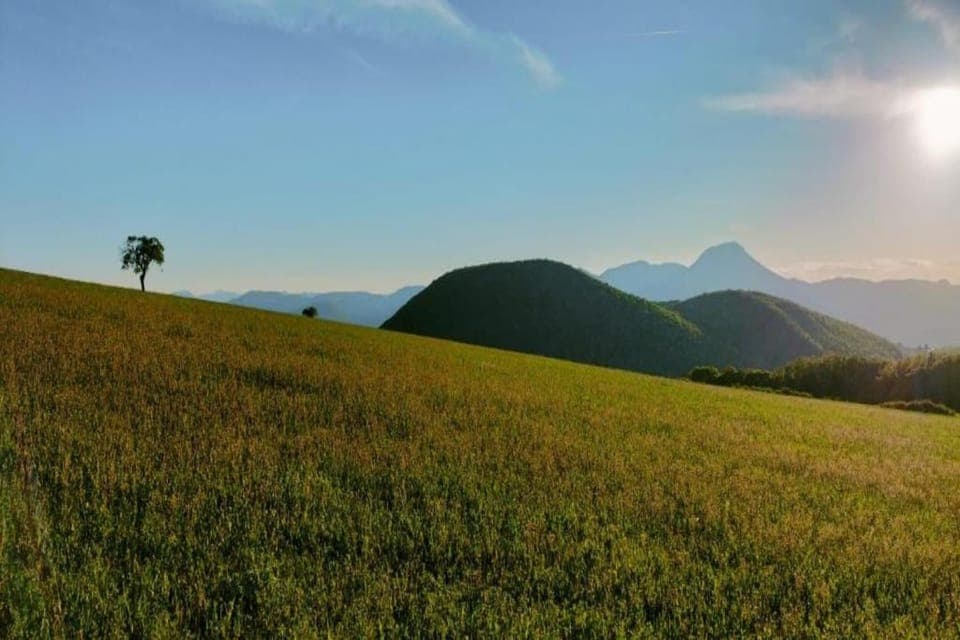 Region [summer] (>5 km)