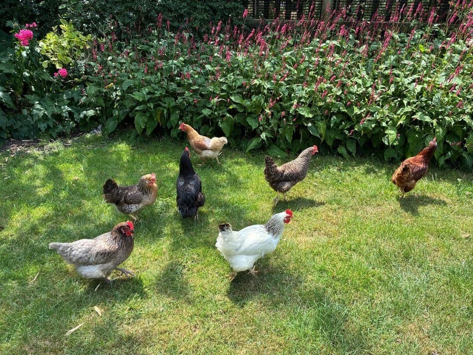 6fdd0727-9719-44f1-9102-ec3e8578f719