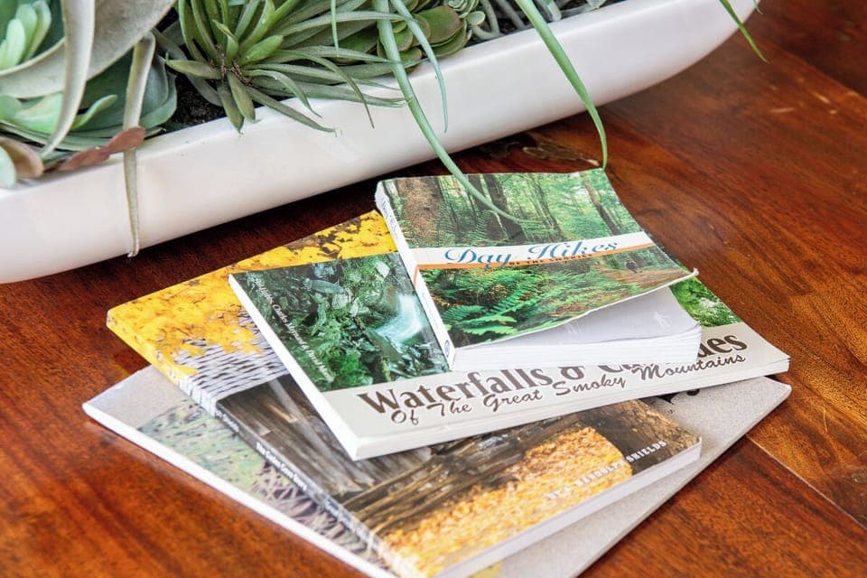 Window Wonderland's cozy living area