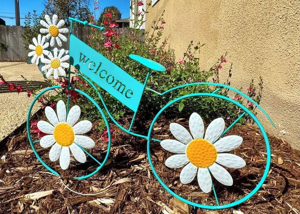 Welcome to the Layzie Dayzie