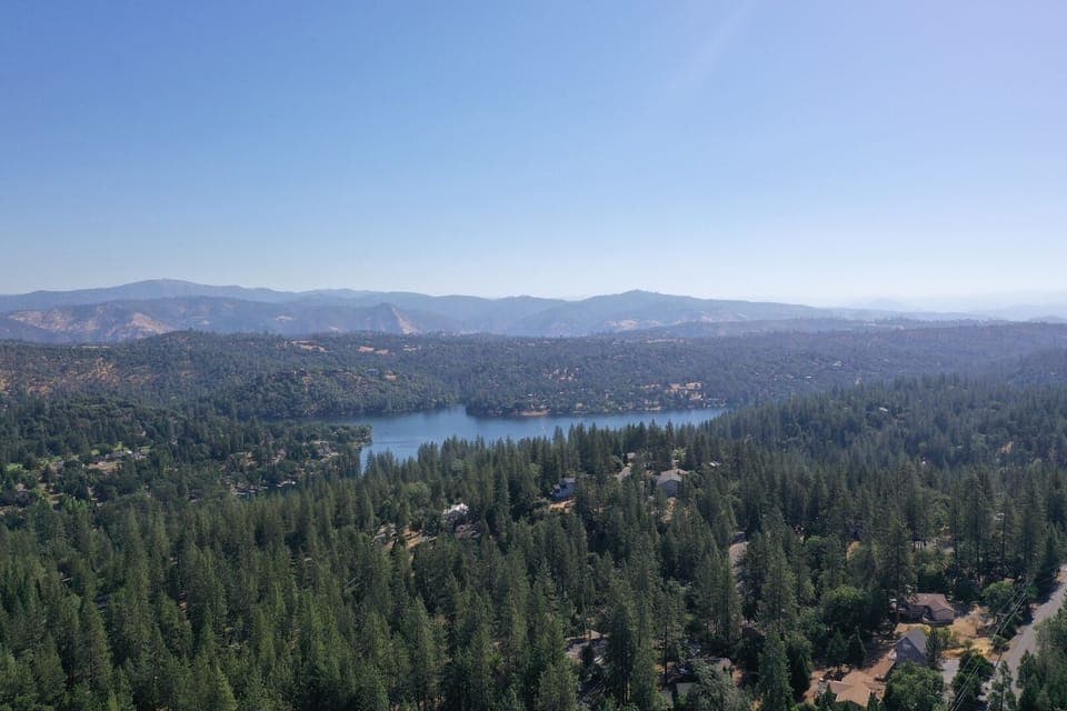 Tree, Fir, Outdoors, Nature, Vegetation