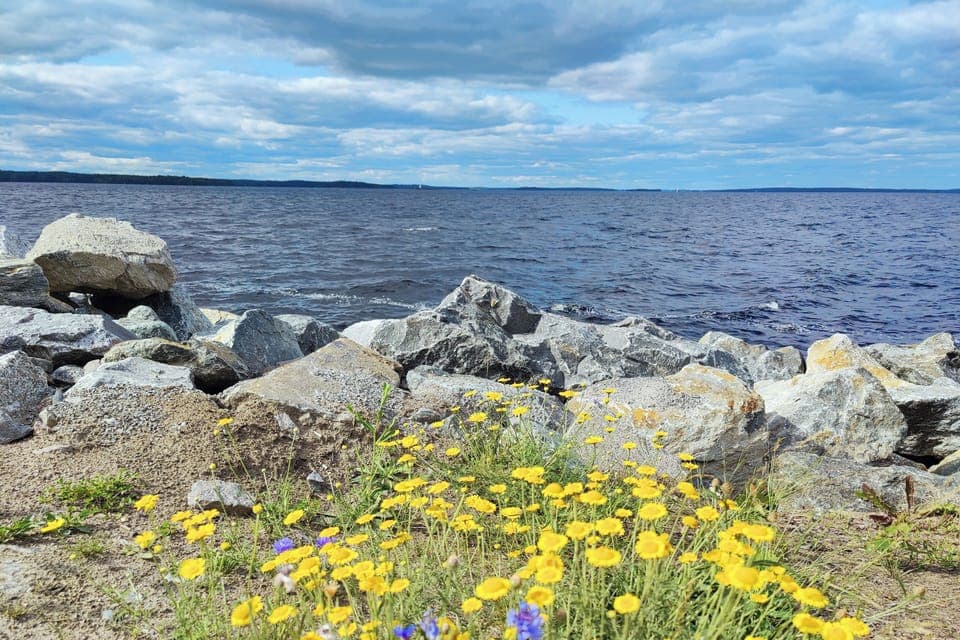 Lake shore, 150 meters from the apartment