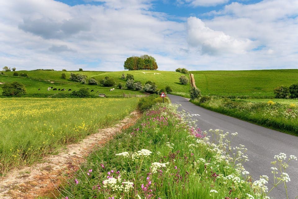 The White Horse on Hackpen Hill