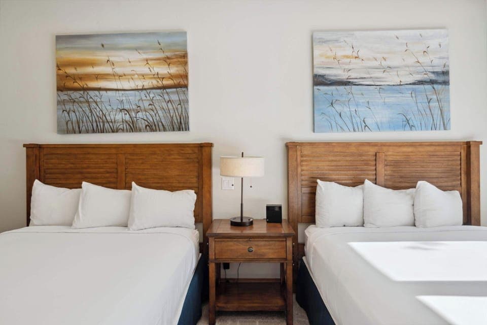 f255-2554_53941010708_o