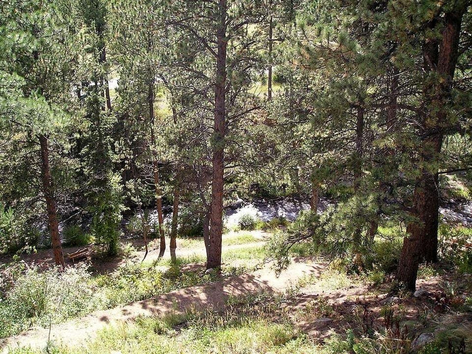River View from Deck