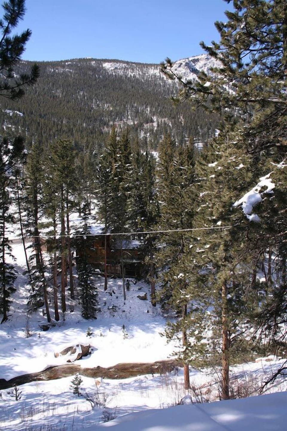 River View from Deck