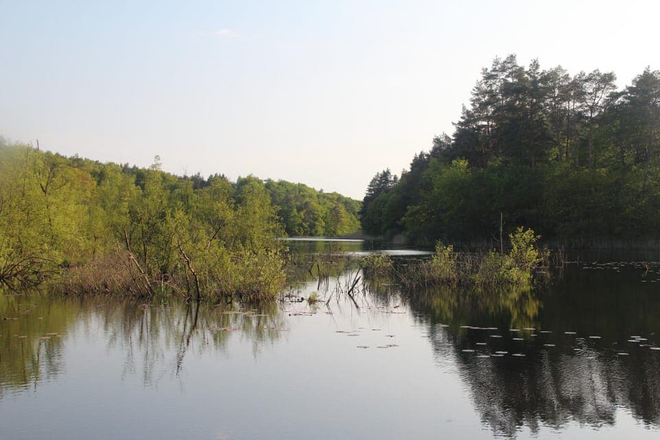 Bungalow | View from property
