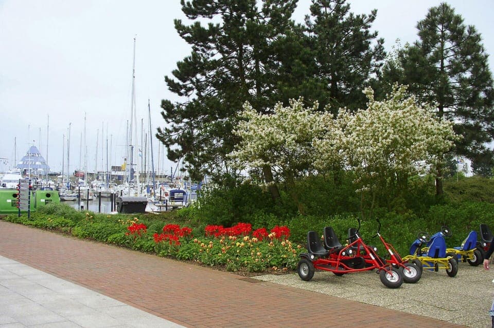 House | View from property