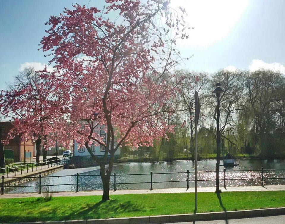 House | View from property