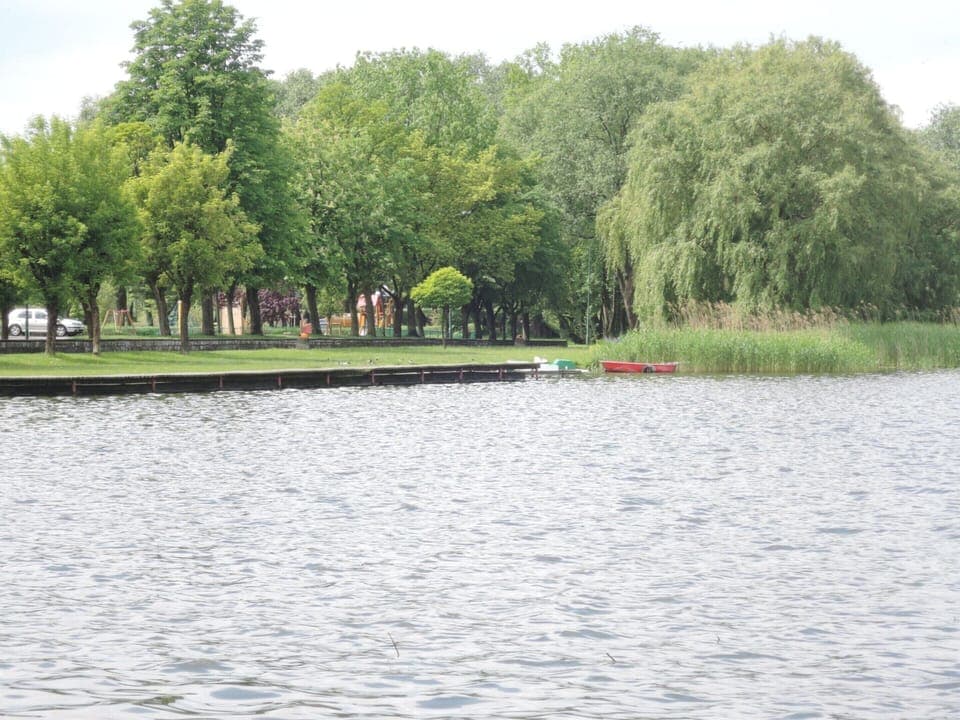 House | View from property