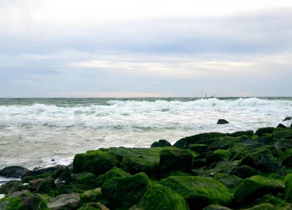 Apartment | View from property