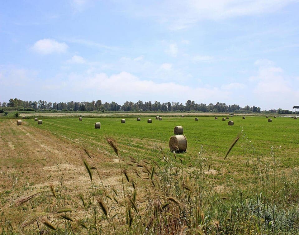 Apartment | View from property