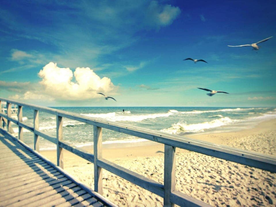 House | View from property