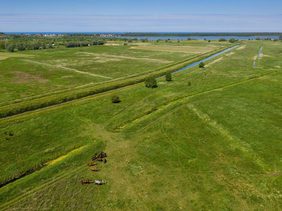 House | View from property