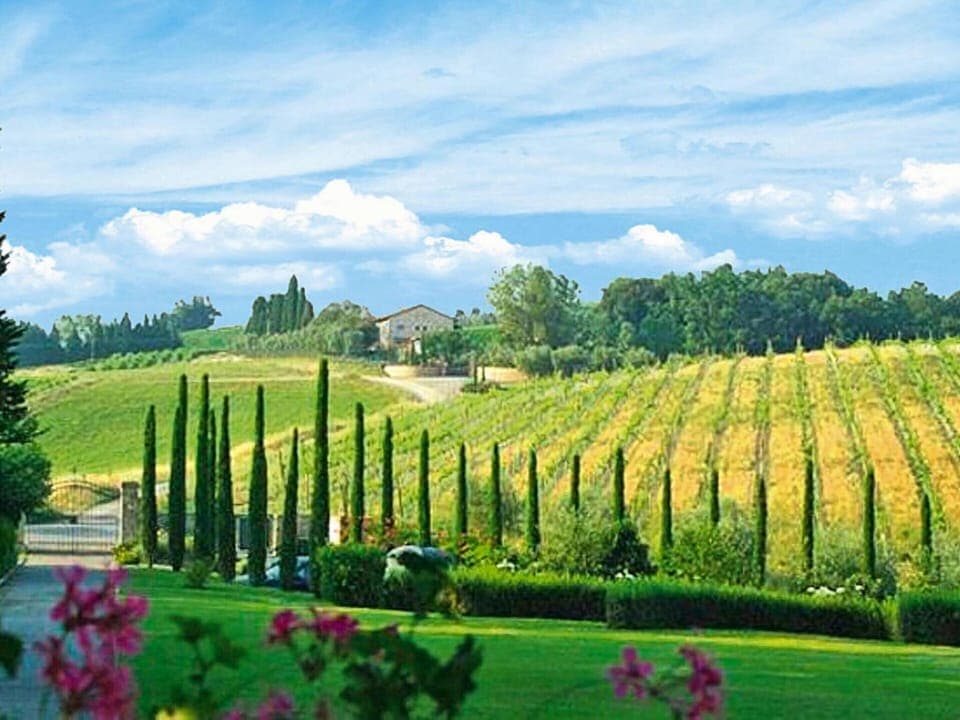 Apartment | View from property