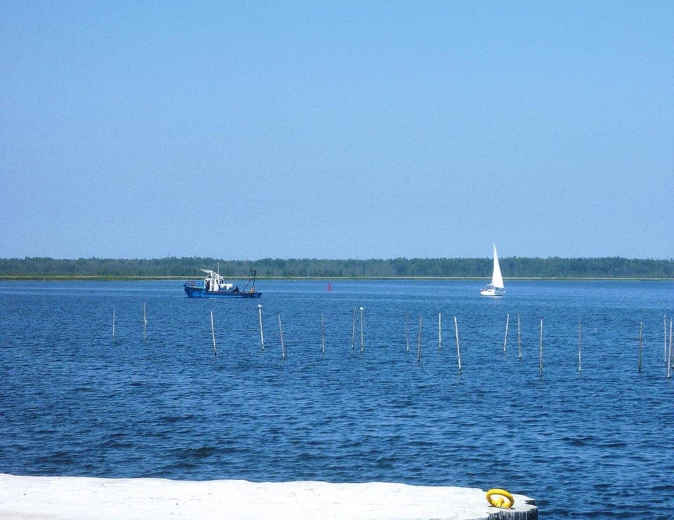 House | View from property