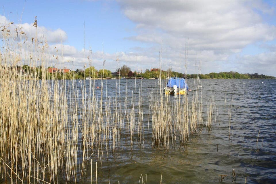 House | View from property