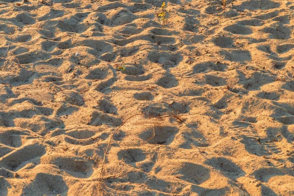 House | View from property