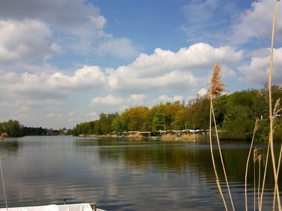 Apartment | View from property