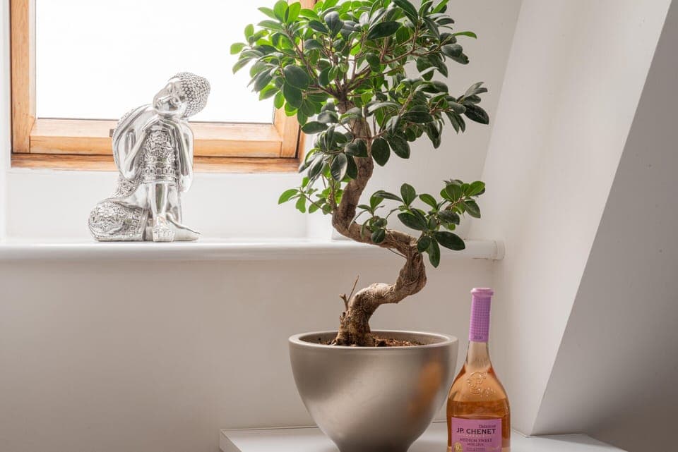 Apartment | Interior