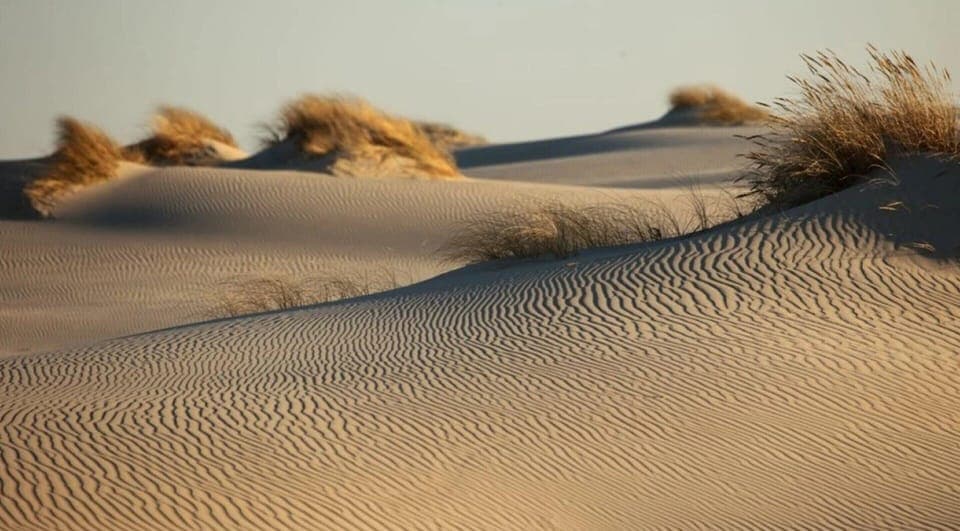 Apartment | View from property