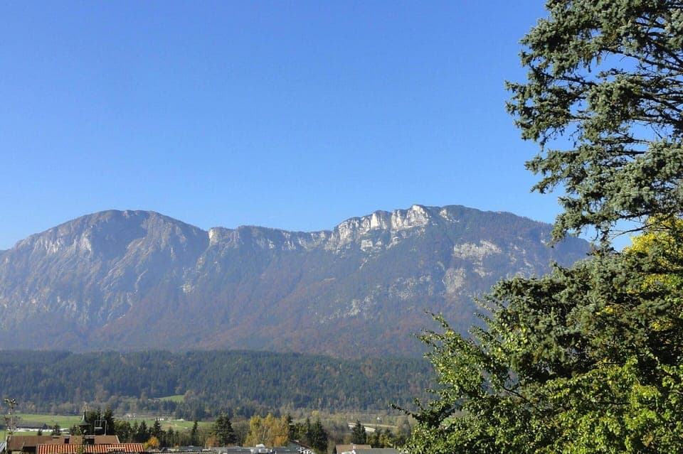 House | View from property