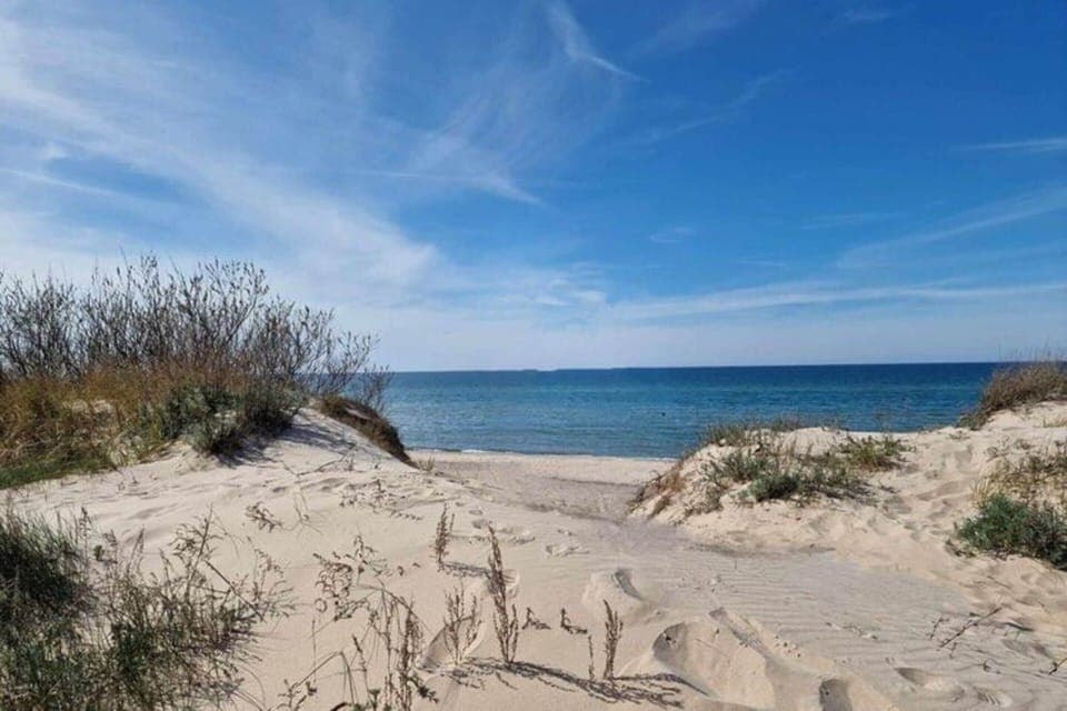 House | View from property