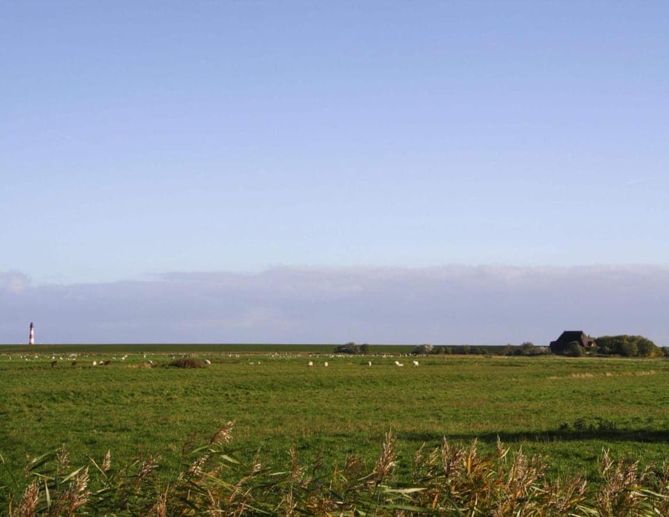 Apartment | View from property