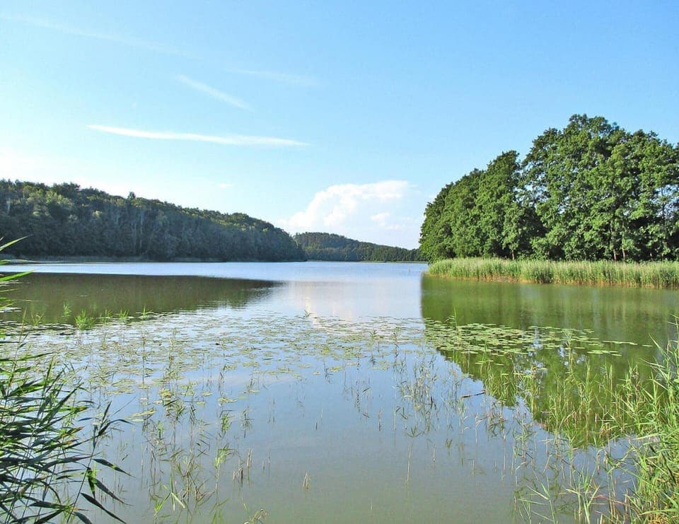 House | View from property