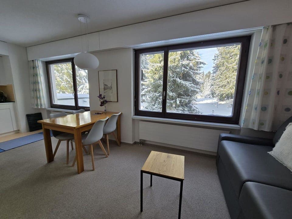 Window, Furniture, Building, Table, Wood, Interior Design, Shade, Plant, Floor