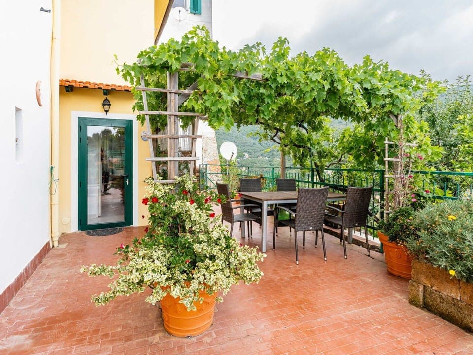 Plant, Flower, Building, Flowerpot, Window, Houseplant, Orange, Table, Chair, Outdoor Furniture