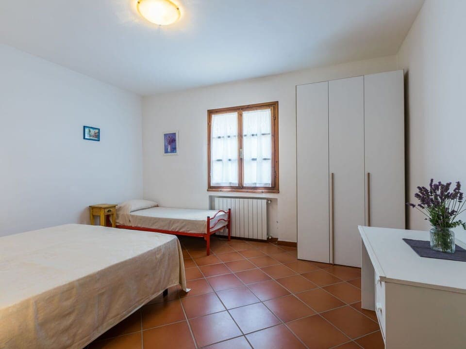 Plant, Property, Window, Furniture, Houseplant, Wood, Flowerpot, Lighting, Interior Design