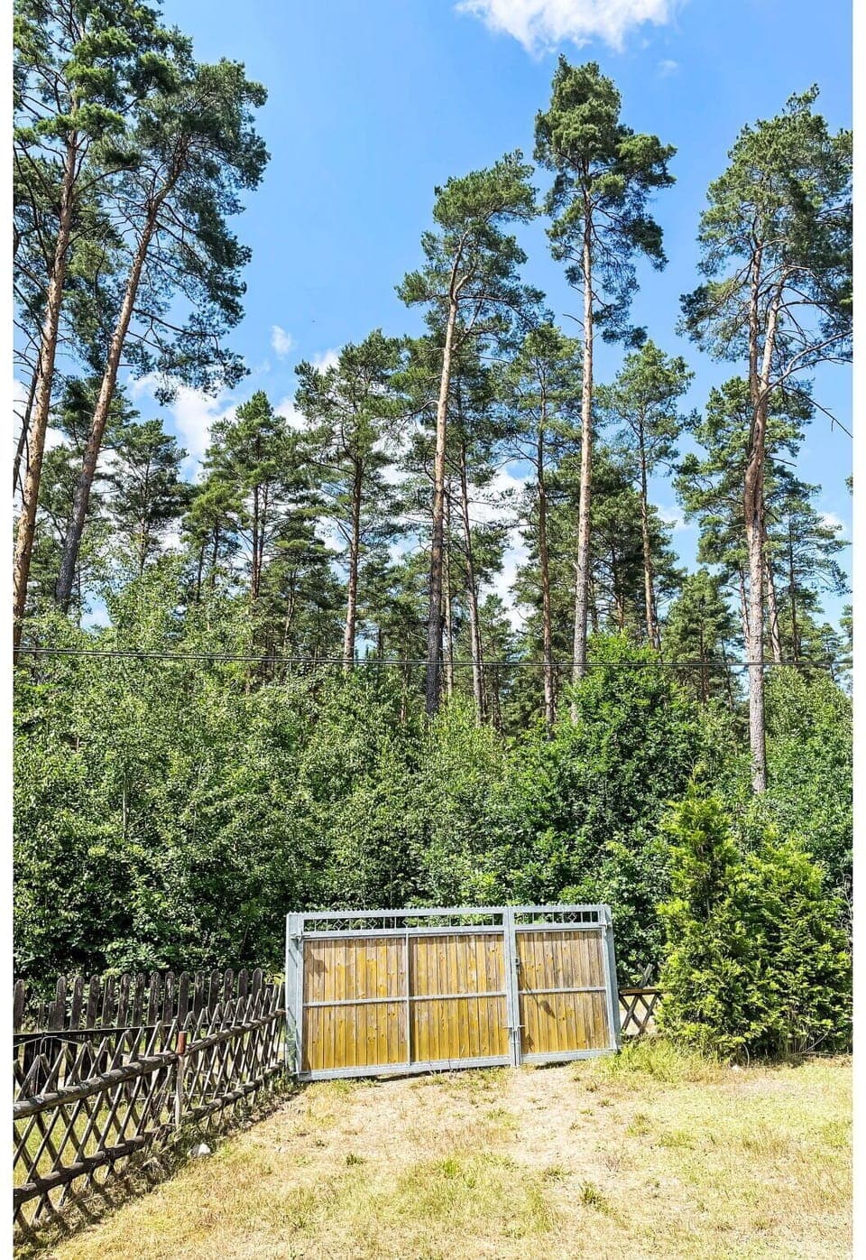 Sky, Plant, Building, Window, Tree, Wood, Land Lot, Cottage, House, Landscape