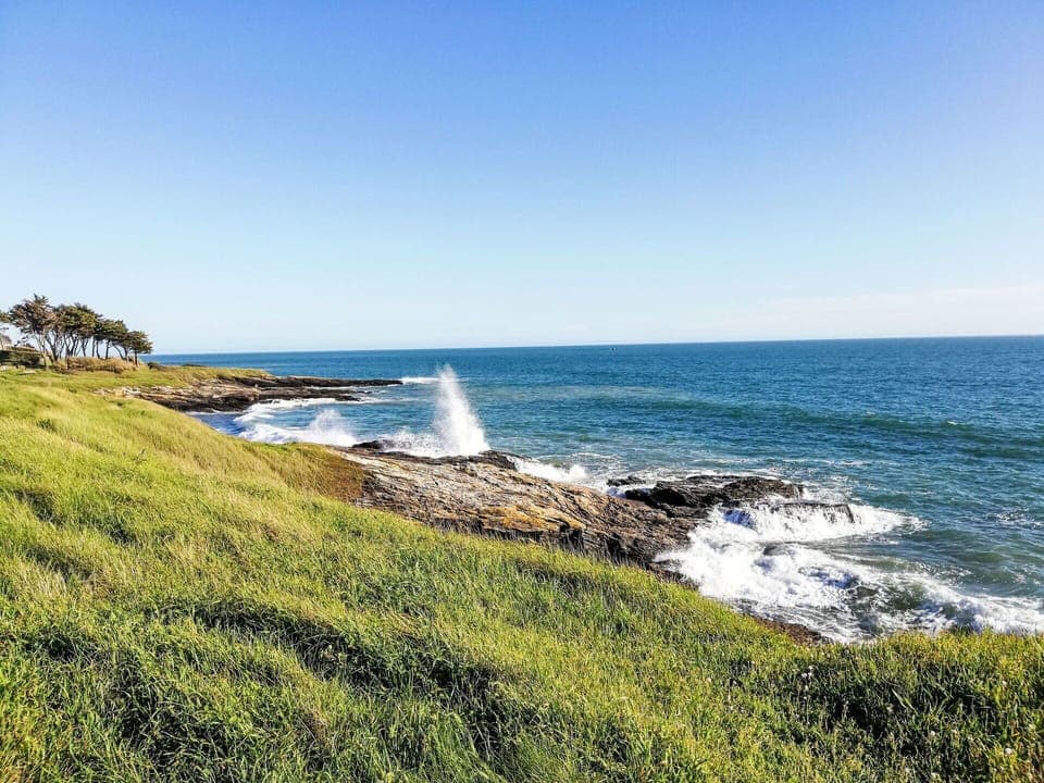 Water, Sky, Plant, Natural Landscape, Tree, Vegetation, Watercourse, Wood, Terrain, Grass