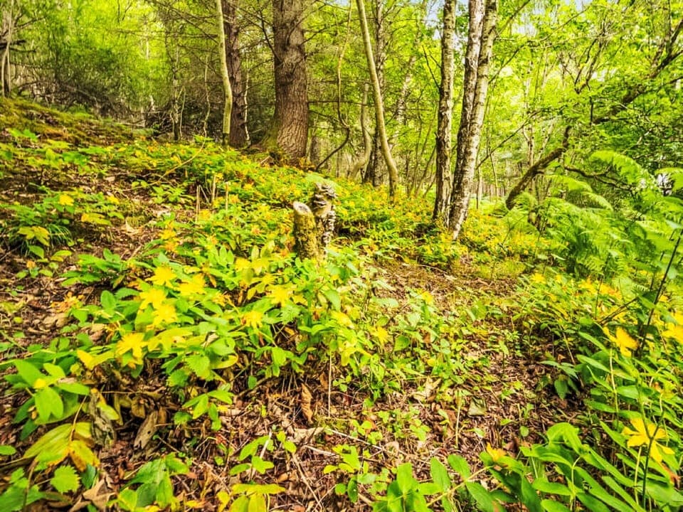 Property, Water, Sky, Interior Design, Building, Swimming Pool, Leisure, Shade, Tree, Condominium