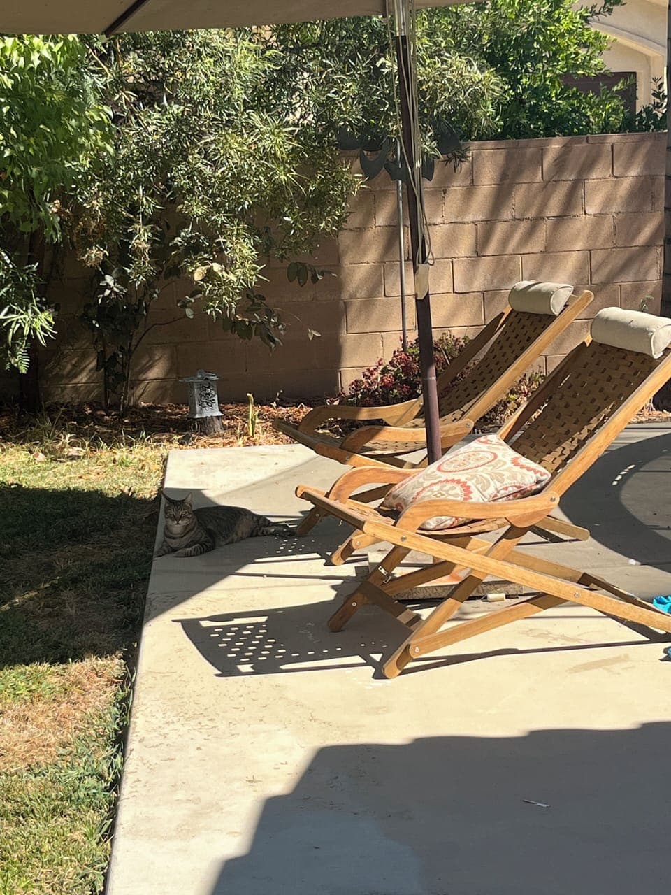 Terrace/patio