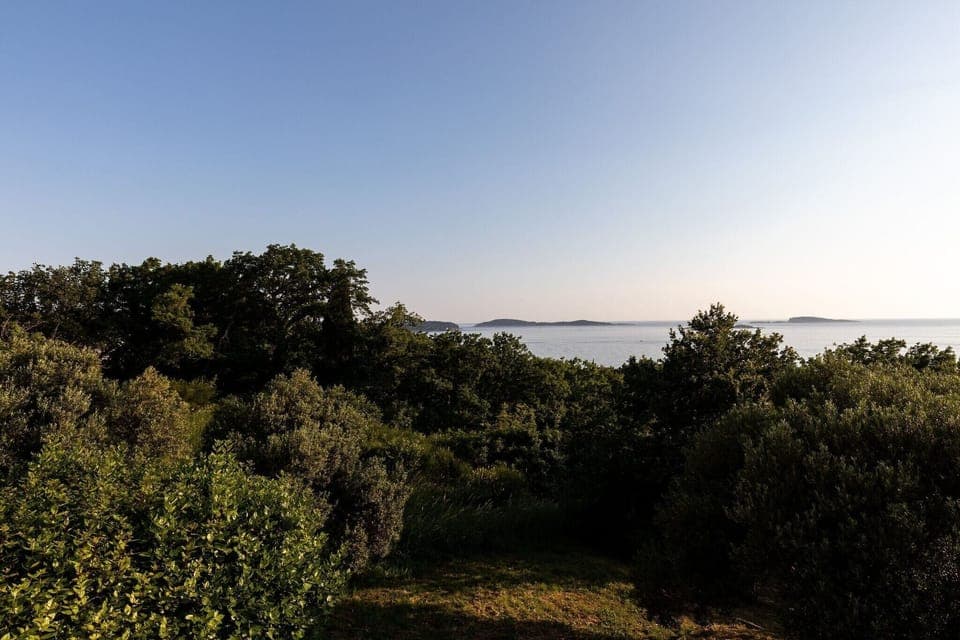 Immediate Surroundings [summer] (<1 km)