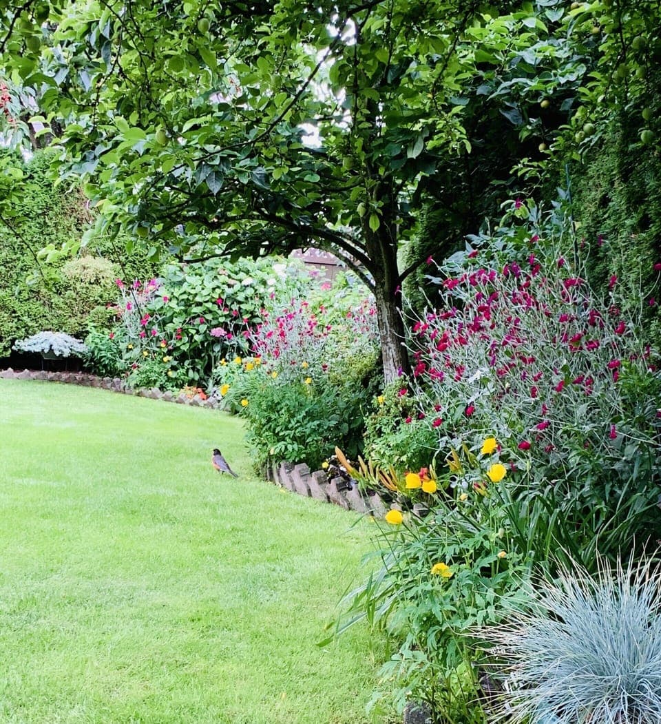 View from the Room in summer