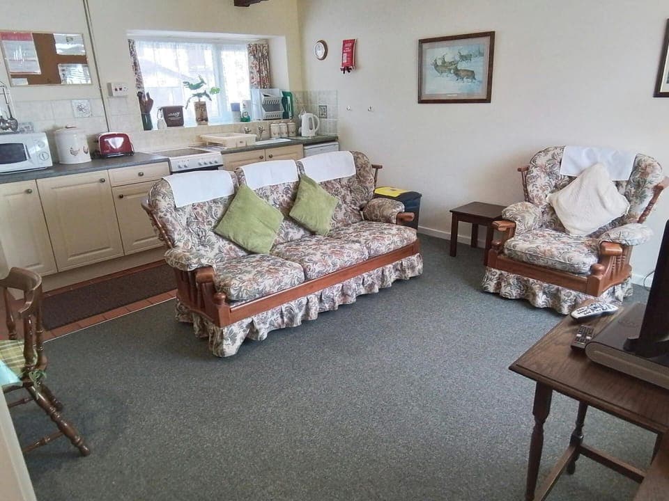 Lounge and kitchen area with sofa, armchair, tv, cooker, sink and microwave