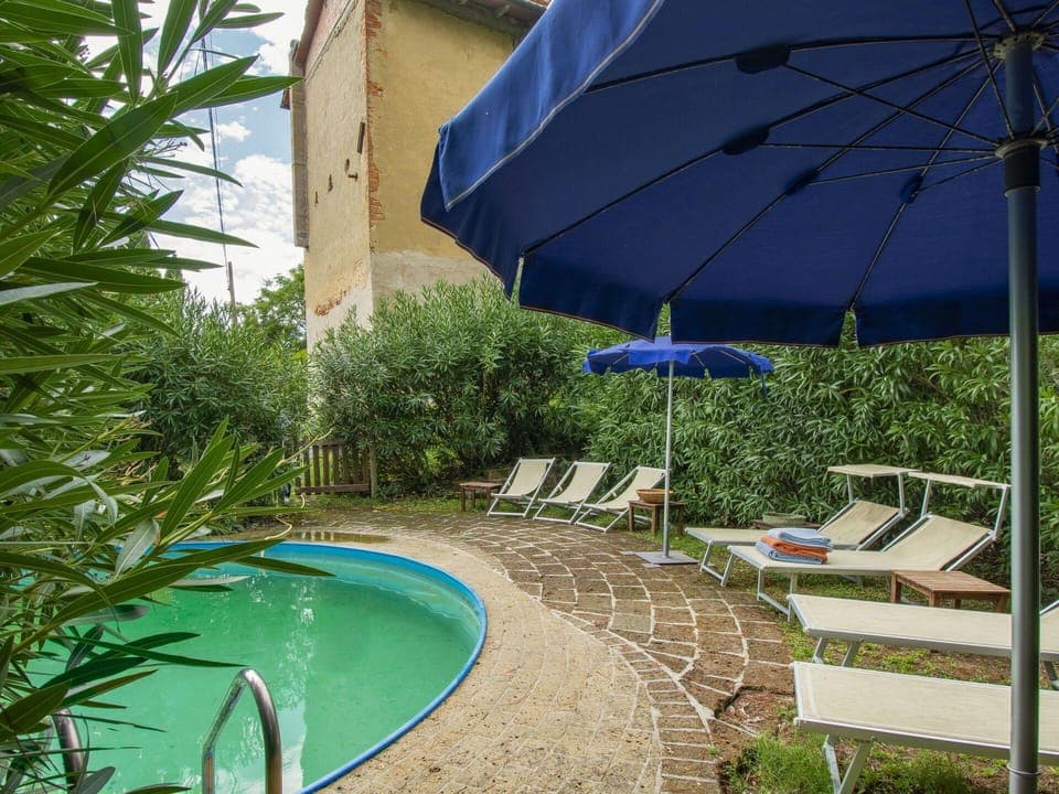 Water, Plant, Property, Umbrella, Blue, Botany, Azure, Swimming Pool, Outdoor Furniture, Shade